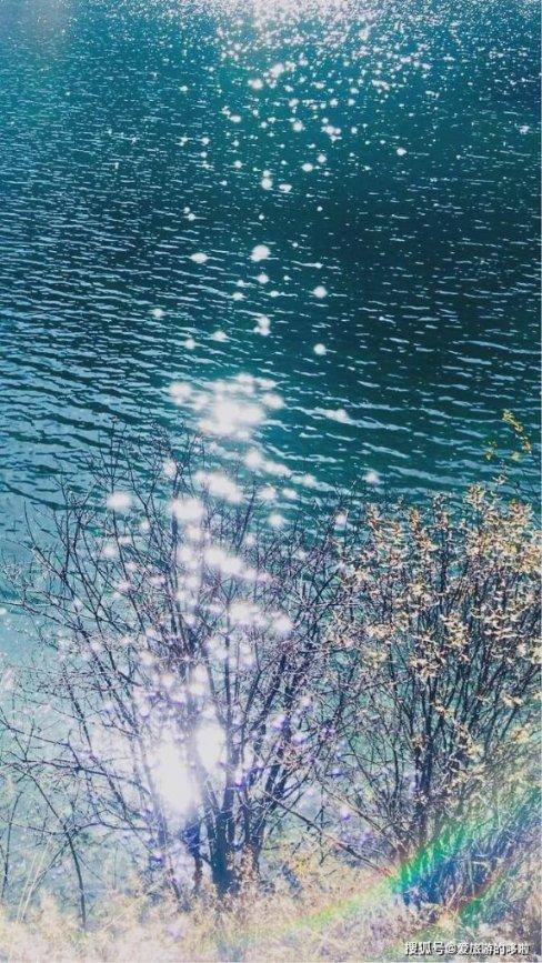 河北组织开展“逛集过大年”活动