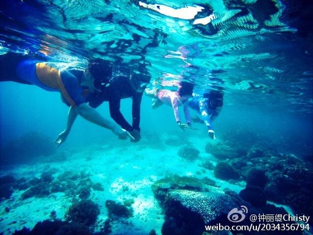 兰博基尼填颜色