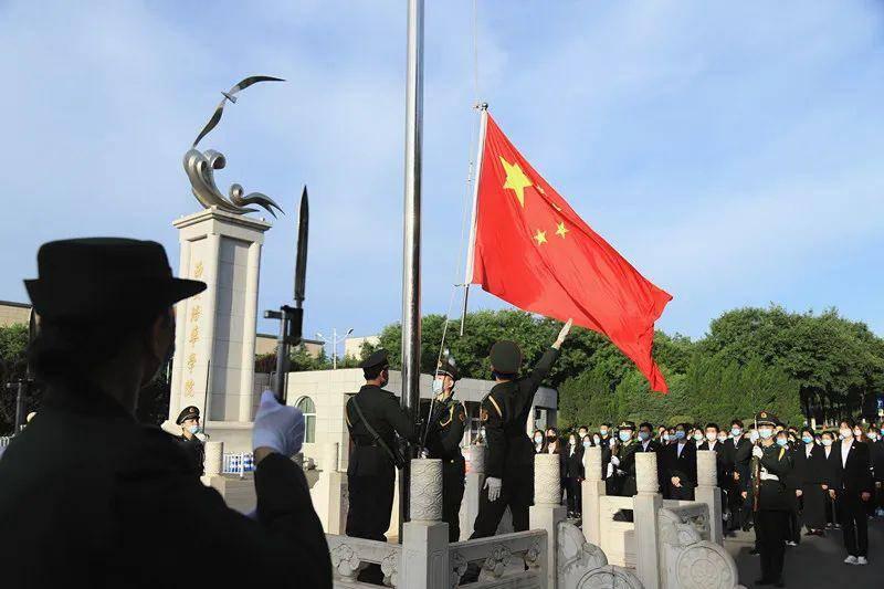 为什么向日葵总是跟着太阳转游戏画面